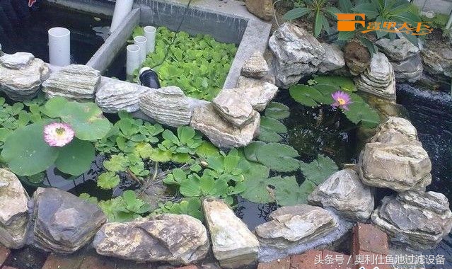 大型鱼池建造过程及施工方法,省钱鱼池建造过程及施工方法