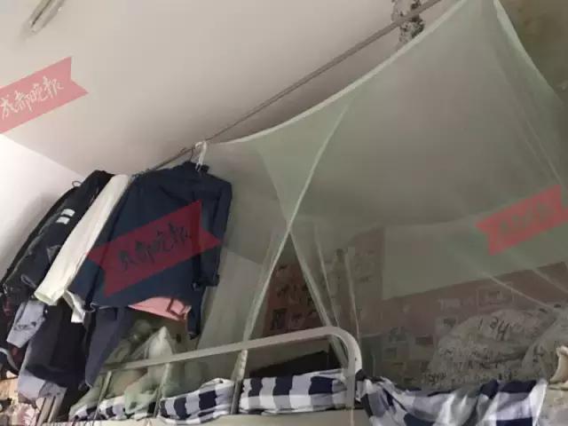 22岁女大学生街头擦皮鞋、每月生活费不过百元，只为做这件事