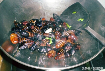 云南人站在食物链的顶端,死也不吃的食物