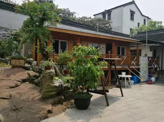 苏州东山白玉枇杷采摘园图片,苏州东山太湖名居白玉枇杷采摘园