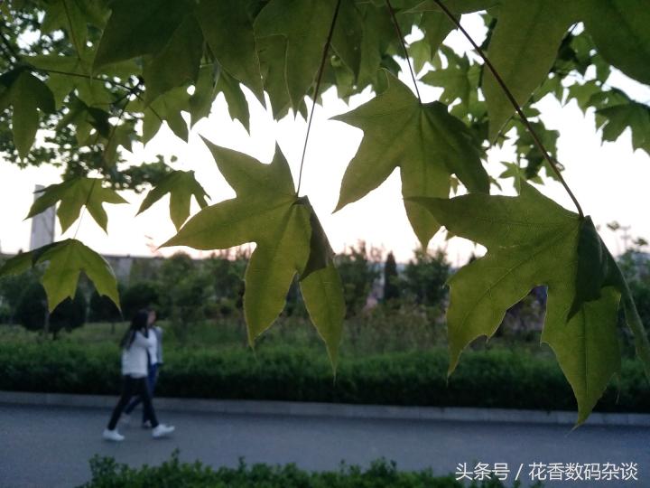 努比亚z17mini专业评测,努比亚z17mini测评最新