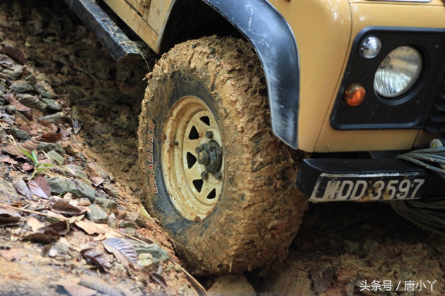 鞋合不合适只有自己知道热带雨林体验将军轮胎