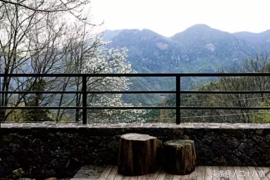 老树林,老树林春夏秋冬