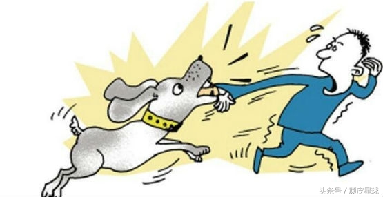 不小心被狗咬要打针么,不小心被注射狂犬疫苗会怎样