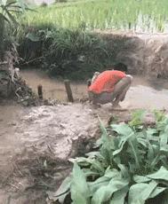 吃货彩蛋已到位，全城寻找彩蛋！黑卡想要？！快到碗里来！