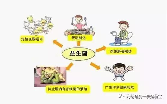 益生菌你真的了解它么,益生菌你真的了解吗