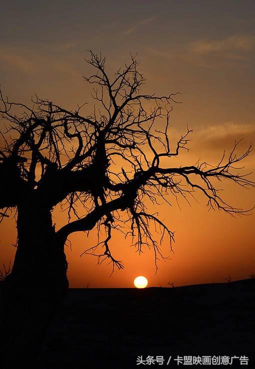 2万5千公里有多远,2万五千公里跨越半个中国