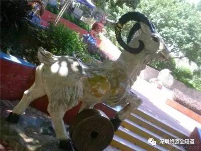 深圳求水山公园是怎样的,深圳求水山公园有什么好玩的景点