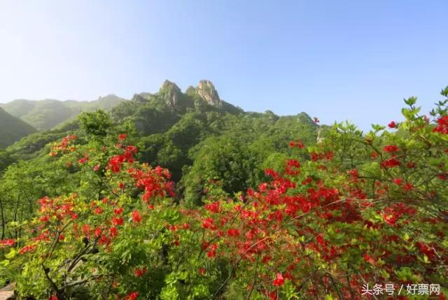 高校学生进山洞,名校学生走进清华大学
