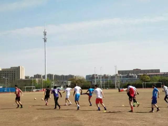 上海同济足球队和华东师范足球队,华东师范足球队水平