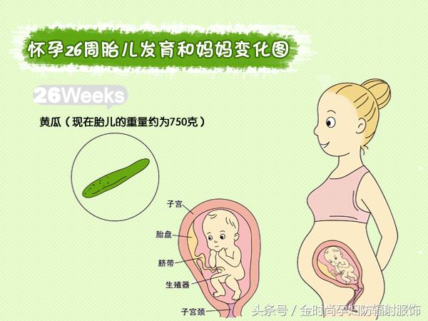 孕妈妈夏季轻薄防辐射服,防辐射孕妇服套装