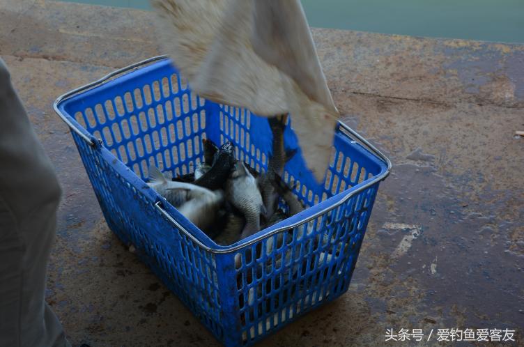 客友员工全体犯“最”，你怕了吗？