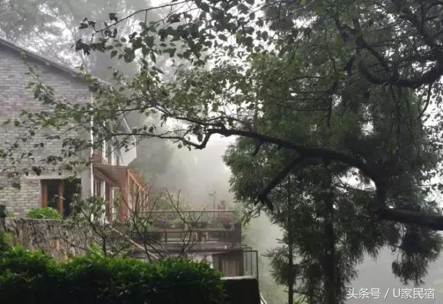 给我一方厨房，还你一桌菜肴