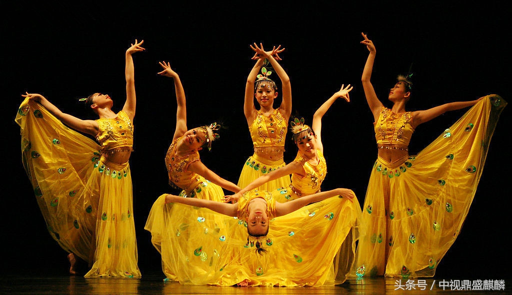 活动演出节目11大分类