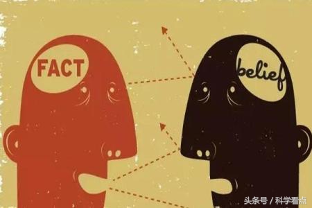 黑天鹅的书籍推荐,黑天鹅四本书