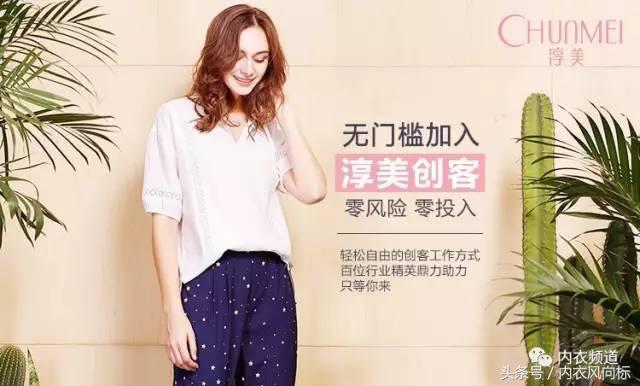 淳美集团商业模式,淳美集团营销模式