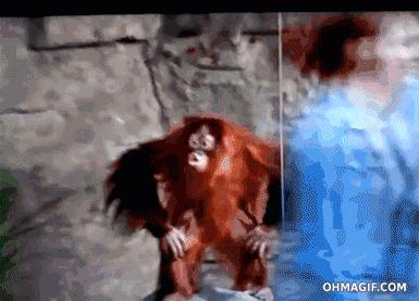 总有一瞬间感觉眼前的事发生过,总感觉要发生什么大事