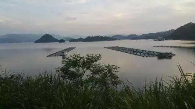 北纬30度骑行第28天,千岛湖骑行一日游最佳路线