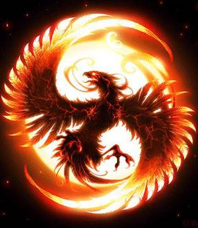 古代有什么奇特的鸟,中国古代怪鸟