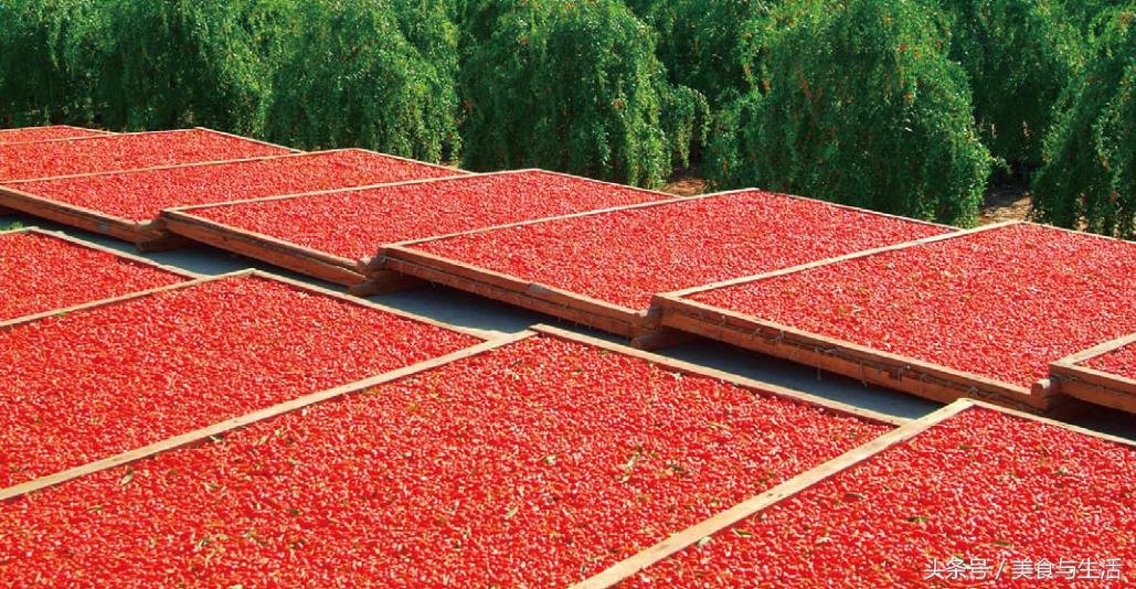 老中医说枸杞怎么吃最好,教你枸杞养生的正确吃法视频