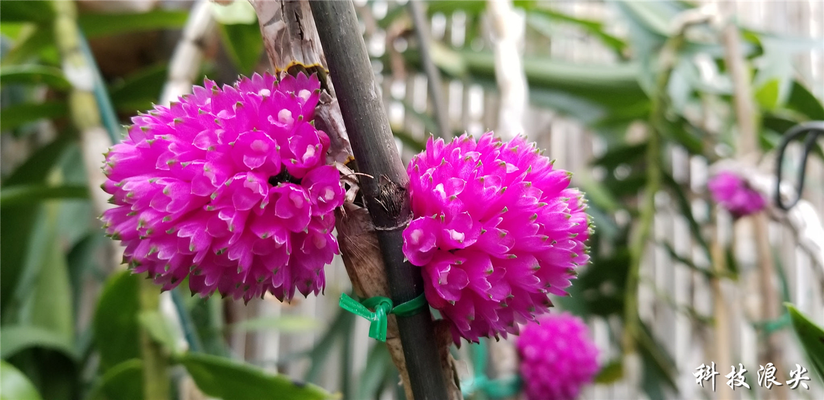 三星s8详细评测视频,三星s8和s8+哪个更值得入手