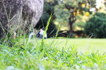 端午节和同事说说祝福语,孤单的端午节说说