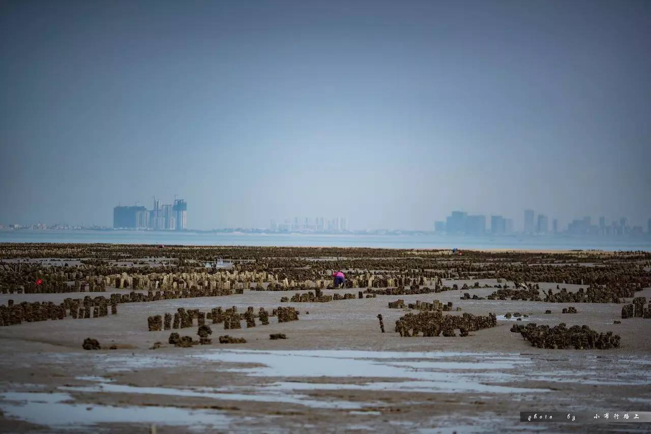 金门能随便去玩吗,厦门去金门一日游