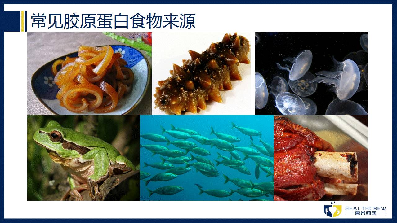 胶原蛋白的作用真的这么神奇吗,真正的胶原蛋白有多可怕