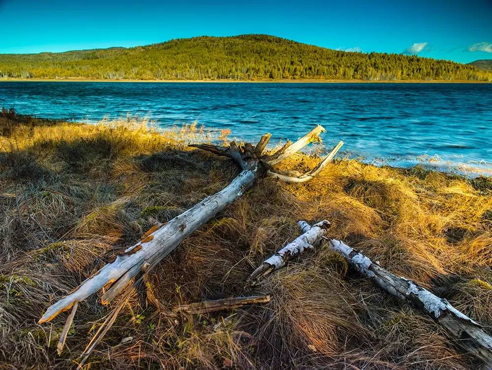 摄影景深有什么用,摄影之景深详解