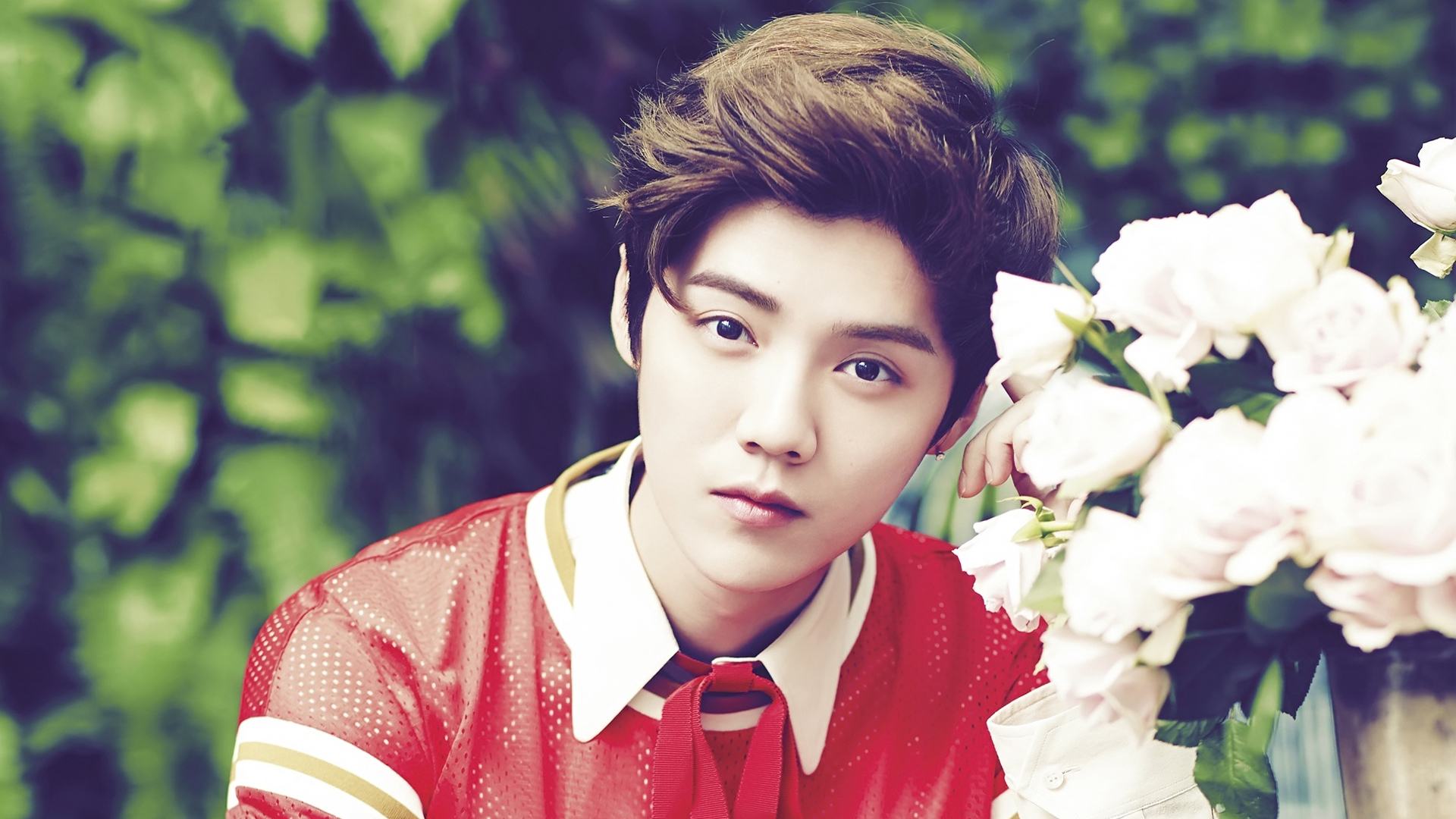 鹿晗李易峰杨洋,鹿晗李易峰照片结合