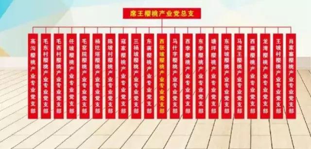 灞桥区产业链*党**组织服务再升级“红色驿站”点亮樱桃别样红