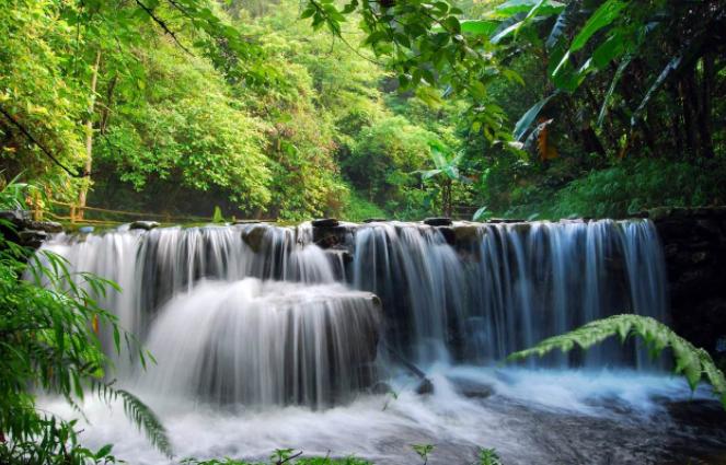 广州薰衣草公园,广州附近哪里有薰衣草看