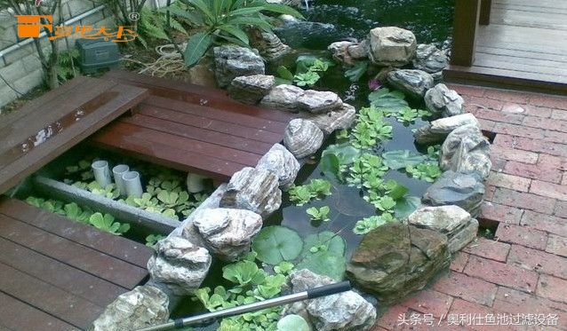 大型鱼池建造过程及施工方法,省钱鱼池建造过程及施工方法