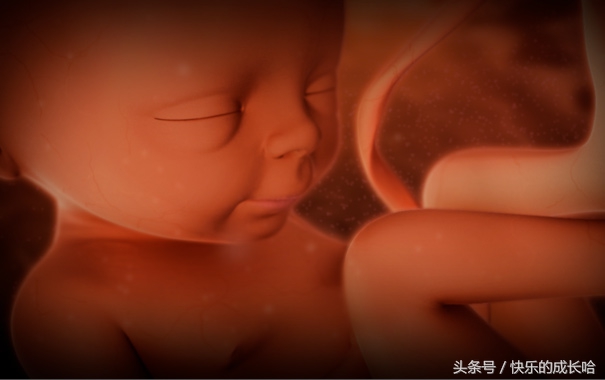 妈妈怀孕3个月身体变化图,孕24周妈妈和宝宝变化