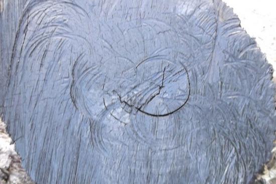 乌木中哪种乌木最好,乌木最高价格是多少