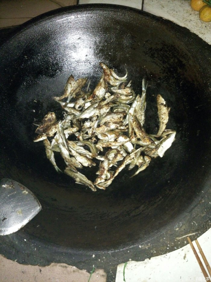 刚学会钓鱼就上钩了,刚刚学钓鱼好吗