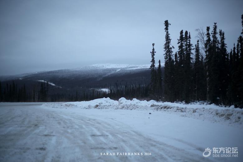 为了这束光，我们一路向北追逐而至...