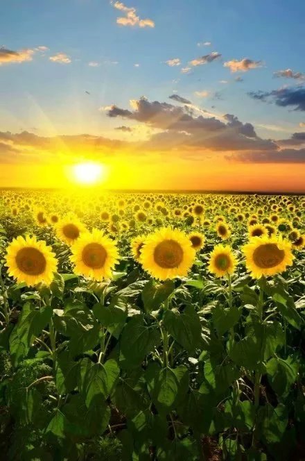 如何零成本祛除痘印,怎么祛除痘印杨医生