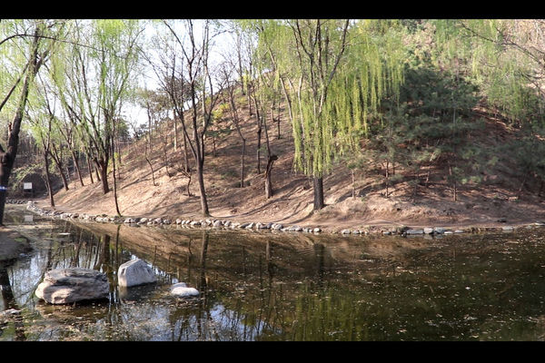 佳能eos77d出片怎么样,佳能eos77d有没有广角功能