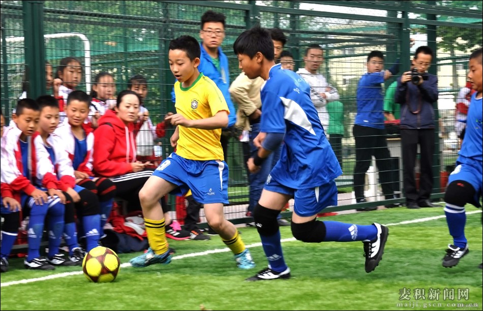 天水市麦积区2024年区长杯对战表,麦积区区长杯校园足球联赛高中