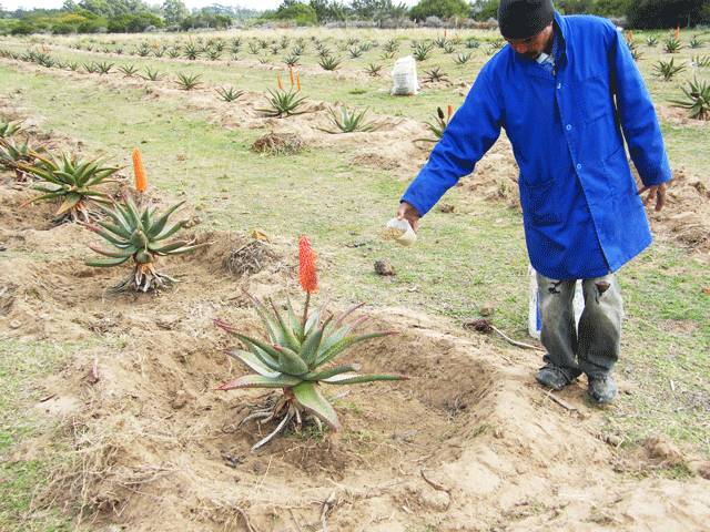晒后修复稳定保湿的护肤品,补水退红最有效的产品