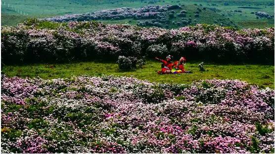刚好遇见你,我的乌蒙
