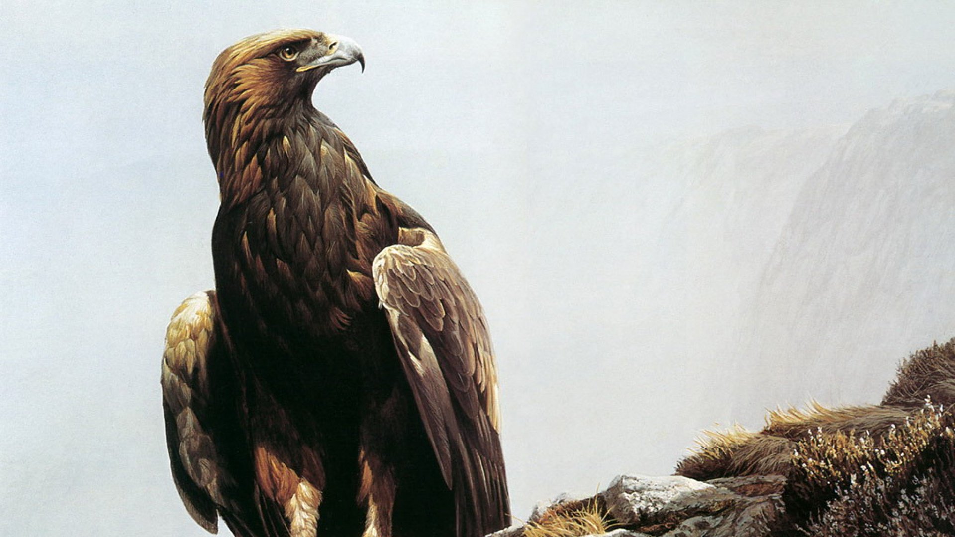 生活若剥去了理想、梦想、幻想，那生命便只是一堆空架子