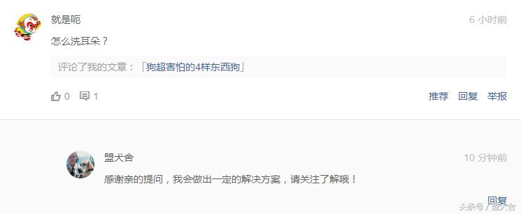 白醋可以给狗狗洗耳朵吗,狗狗的耳朵怎么洗干净