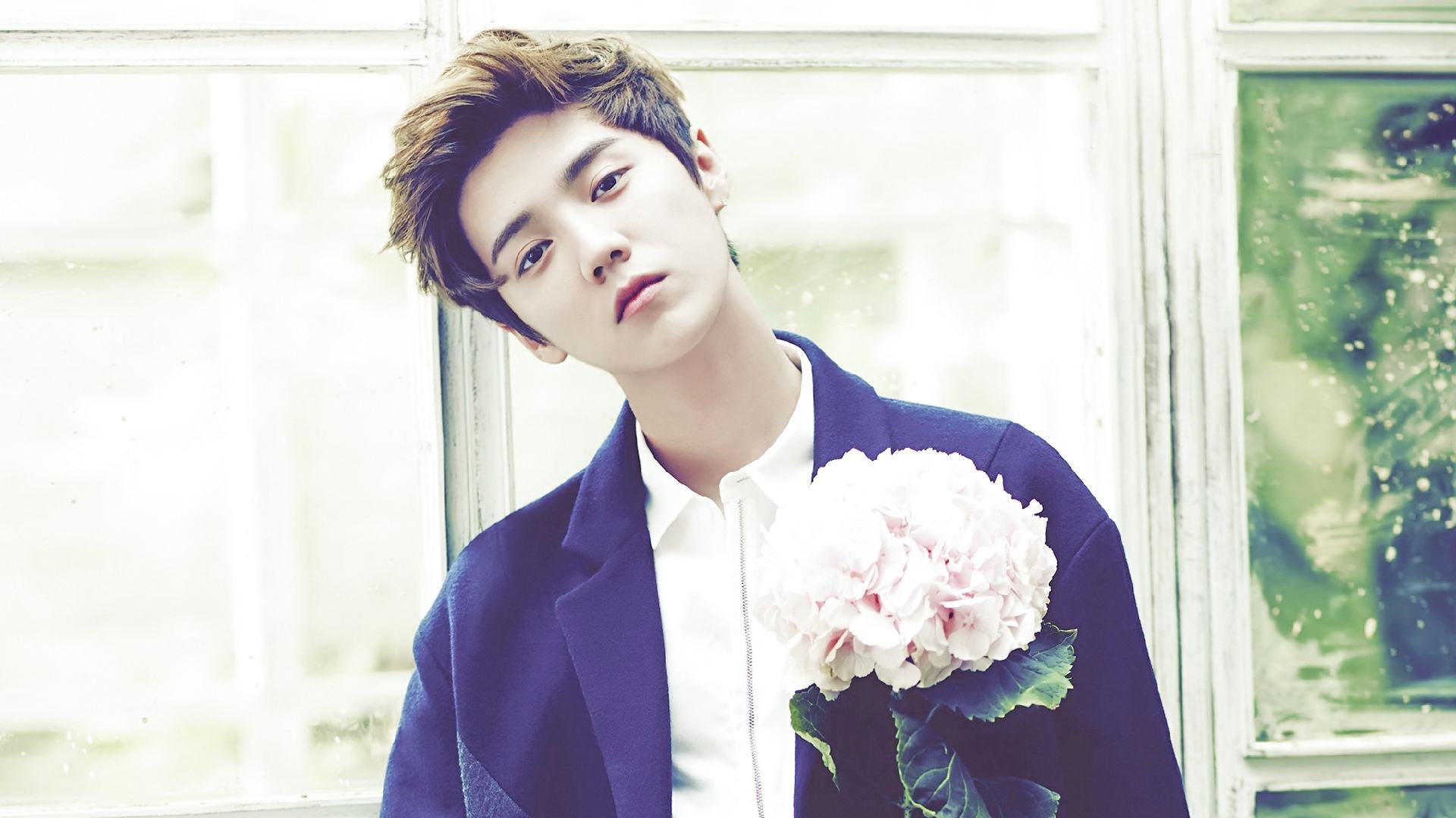 鹿晗李易峰杨洋,鹿晗李易峰照片结合