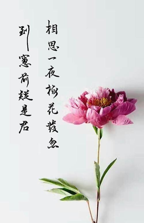 学习书法绘画的好处,学毛笔书法的十大好处