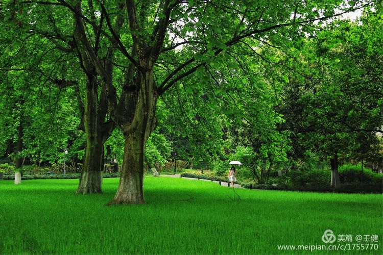 璇楃敾姹熷崡鎷嶆憚鏃堕棿,璇楃敾姹熷崡缁樼敾鍒涗綔