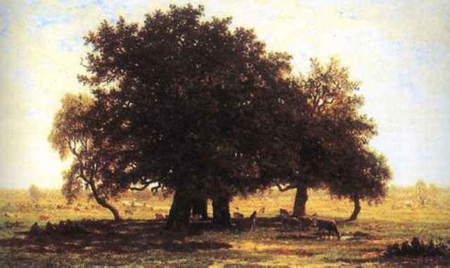 我如果爱你，绝不学攀枝的凌霄花，借你的高枝炫耀自己