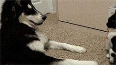 爱妖经｜亲子装，亲子包……现在连美甲都要同款了？