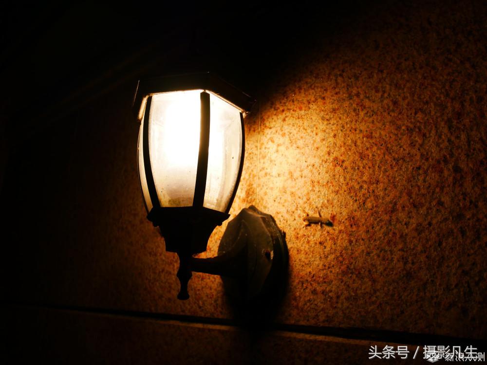 松下gf9可以自拍吗,带女朋友旅游拍照相机推荐